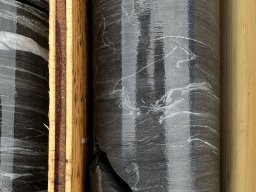 dry creek core 2024 layered siltsone mineralization